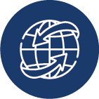 icon of a globe